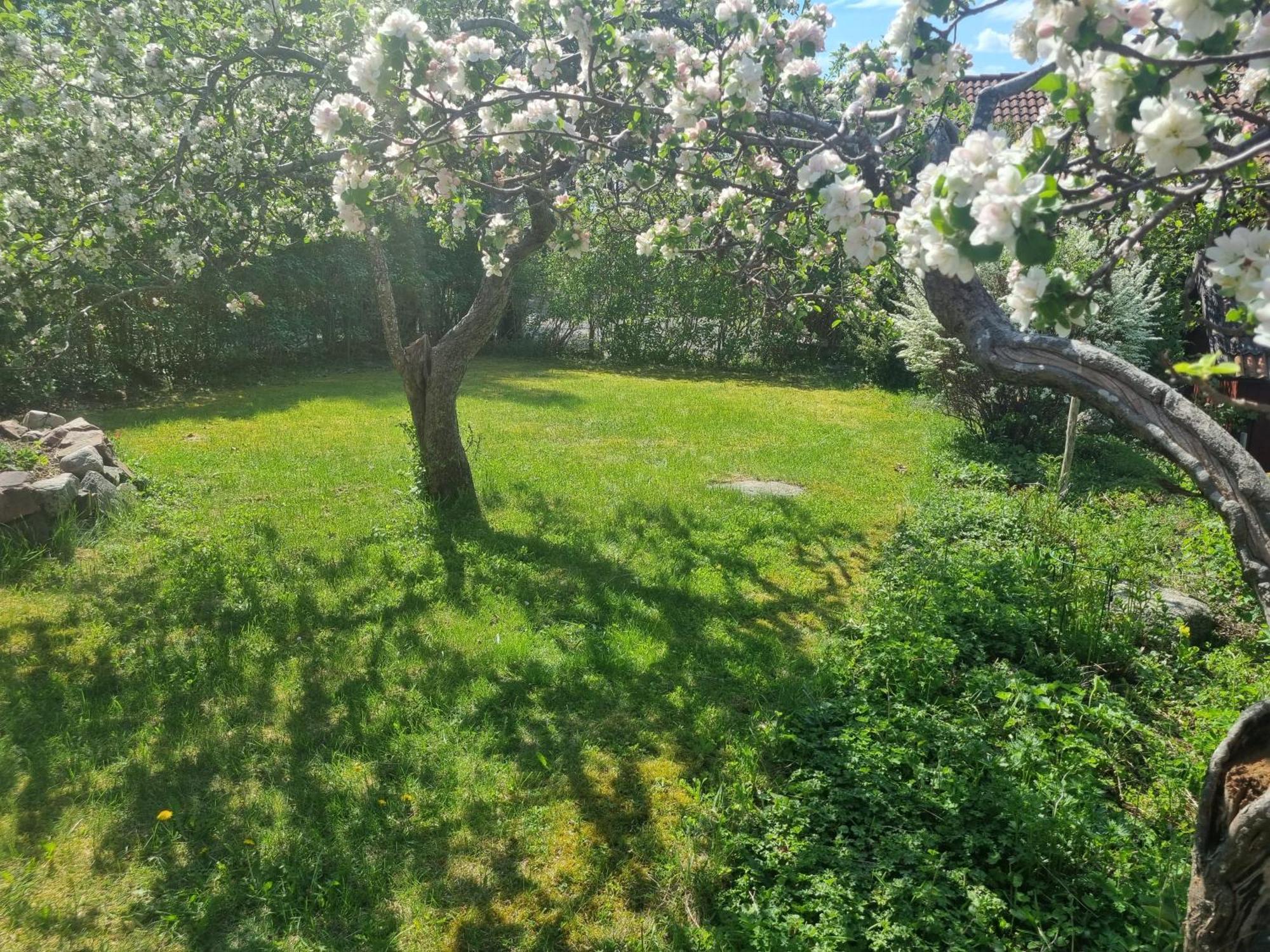 Saellinge House - Cozy Villa With Fireplace And Garden Close To أوبسالا المظهر الخارجي الصورة